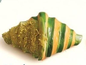 Matcha Croissant